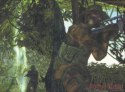 ROGUESPEAR